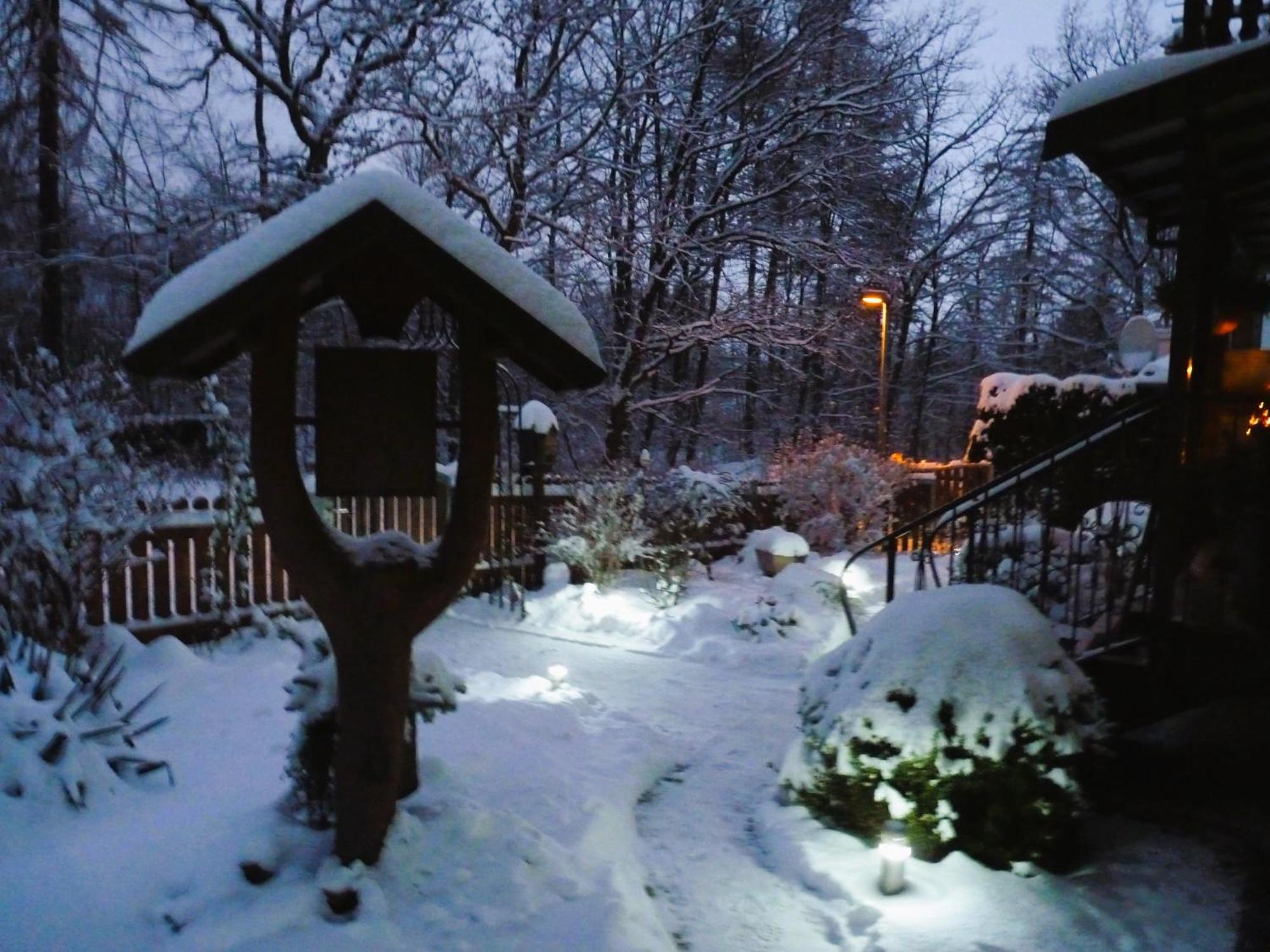 Ferienwohnung Im Wald Mit Kamin Bad Harzburg Exteriér fotografie