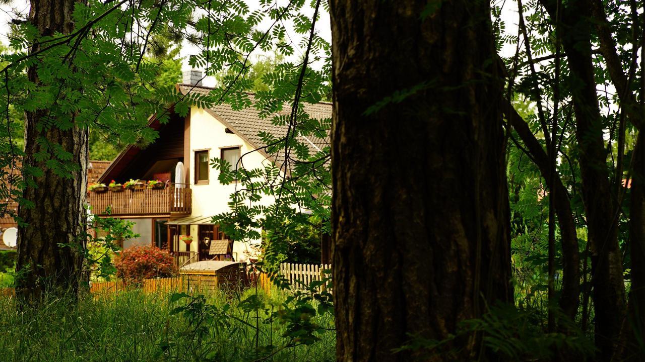 Ferienwohnung Im Wald Mit Kamin Bad Harzburg Exteriér fotografie