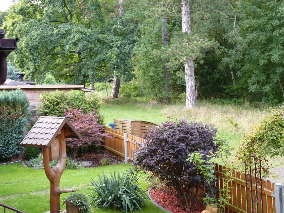 Ferienwohnung Im Wald Mit Kamin Bad Harzburg Exteriér fotografie